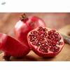 Pomegranate Exporters, Wholesaler & Manufacturer | Globaltradeplaza.com