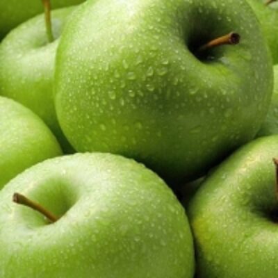 resources of Quality Fresh Green Apples exporters
