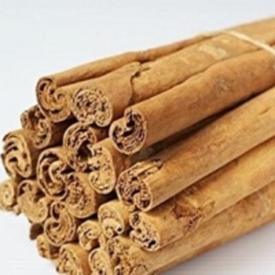 resources of Cinnamon Stick exporters