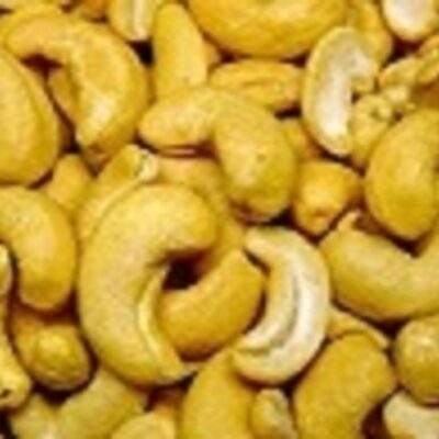 resources of Dried Cashew Nuts W320 exporters