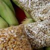 White And Yellow Corn Exporters, Wholesaler & Manufacturer | Globaltradeplaza.com