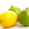 Fresh Lemon Exporters, Wholesaler & Manufacturer | Globaltradeplaza.com
