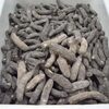 Dried Sea Cucumber Exporters, Wholesaler & Manufacturer | Globaltradeplaza.com