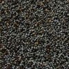 Poppy Seeds Exporters, Wholesaler & Manufacturer | Globaltradeplaza.com