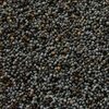 Blue Poppy Seeds Exporters, Wholesaler & Manufacturer | Globaltradeplaza.com