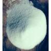 Refined Vacuum Salt Exporters, Wholesaler & Manufacturer | Globaltradeplaza.com