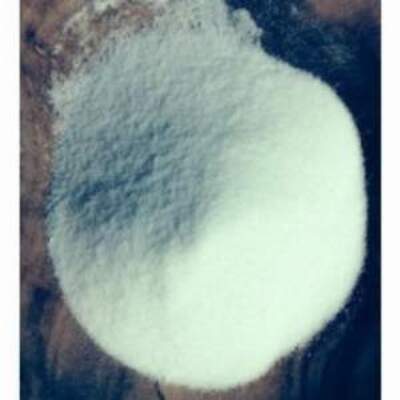 resources of Refined Vacuum Salt exporters