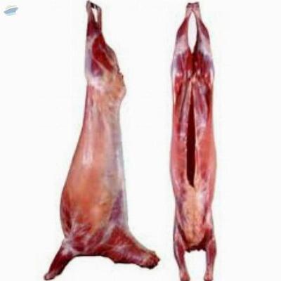 resources of Fresh Halal Goat Meat exporters