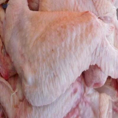 resources of Halal Frozen Chicken Wings Quarters exporters
