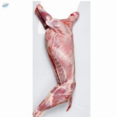 resources of Organic Wholesale Frozen Halal Lamb From Germany exporters