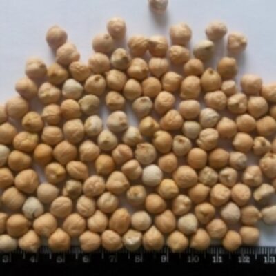 resources of Chickpeas exporters