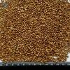 Coriander Seeds Exporters, Wholesaler & Manufacturer | Globaltradeplaza.com