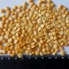 Yellow Split Peas Exporters, Wholesaler & Manufacturer | Globaltradeplaza.com