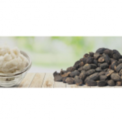 resources of Shea Butter exporters