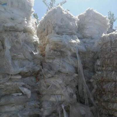 resources of Ldpe Foil exporters