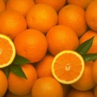 resources of Naveline Oranges exporters