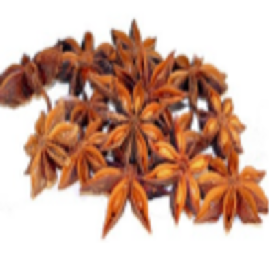 resources of Premium Star Aniseed exporters