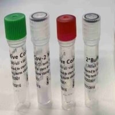 resources of Q Pcr Testing Kit (Non Cold Chain Transport) exporters