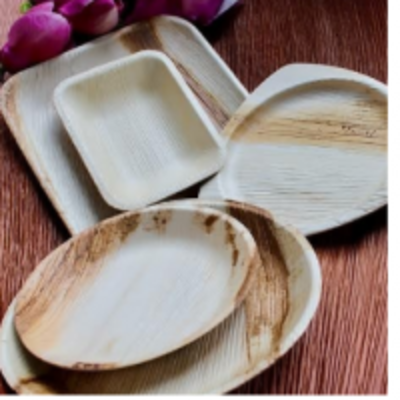 resources of Areca Leaf Plates exporters