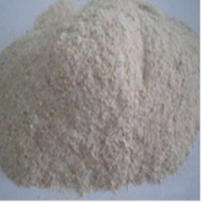 resources of Tapioca Residuce Powder exporters