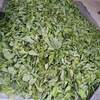 Cassia Alata / Senna Alata Dried Leaf Exporters, Wholesaler & Manufacturer | Globaltradeplaza.com