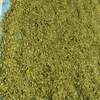 Moringa Oleifera Dried Leaf Exporters, Wholesaler & Manufacturer | Globaltradeplaza.com