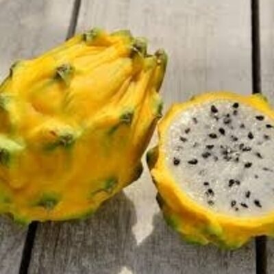 resources of Pitahaya exporters