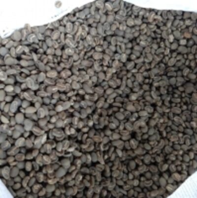 resources of Green Bean Coffee Arabica exporters