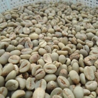 resources of Green Bean Coffee Robusta exporters