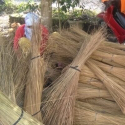 resources of Palm Broom Stick exporters
