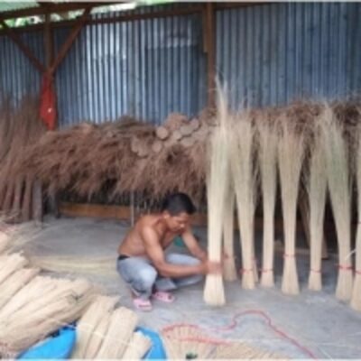 resources of Nypah Or Nepah Broom Stick exporters