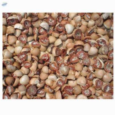 resources of The Betel Nut Split exporters