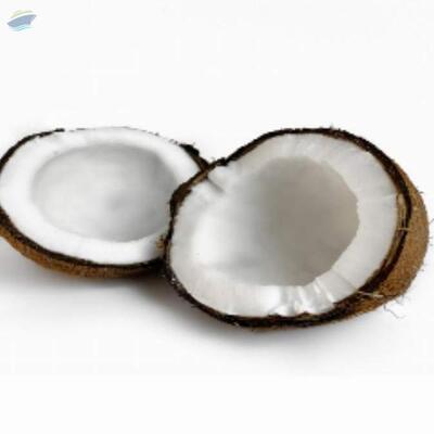 resources of Fresh Coconut/semi Husked exporters