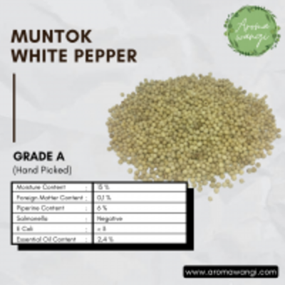 resources of Muntok White Pepper Powder Grade A (Handpicked) exporters