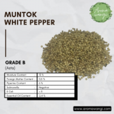 resources of Muntok White Pepper Powder Grade B (Asta) exporters