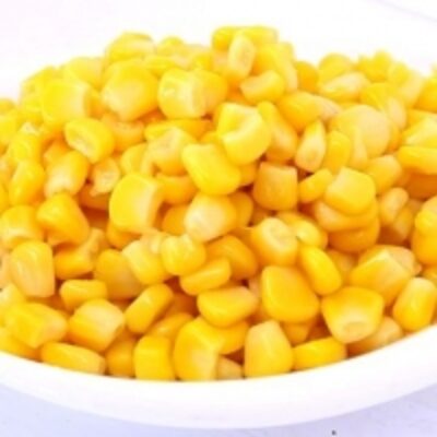 Canned Corn Exporters, Wholesaler & Manufacturer | Globaltradeplaza.com