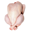 Frozen Whole Chicken (Griller) Exporters, Wholesaler & Manufacturer | Globaltradeplaza.com