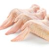 Frozen 3 Joint Chicken Wing Exporters, Wholesaler & Manufacturer | Globaltradeplaza.com