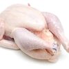 Frozen Chicken And Cuts Exporters, Wholesaler & Manufacturer | Globaltradeplaza.com