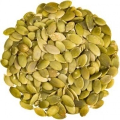 Pumpkin Seeds Exporters, Wholesaler & Manufacturer | Globaltradeplaza.com