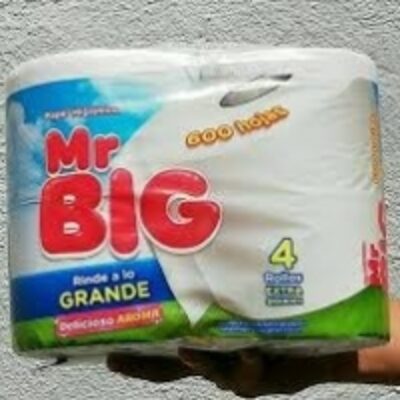 resources of Mr. Big Toilet Tissue 4Pk-600 Sheets exporters
