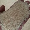 White Rice Exporters, Wholesaler & Manufacturer | Globaltradeplaza.com