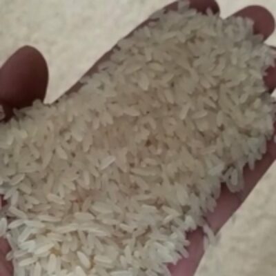 resources of White Rice exporters