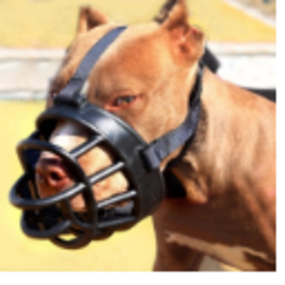Dog Mouth Cover Exporters, Wholesaler & Manufacturer | Globaltradeplaza.com