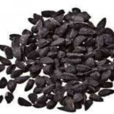 resources of Kalonji (Nigella Sativa) Black Cumin Seeds exporters