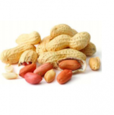 resources of Moongphali, Peanut (Groundnut) exporters