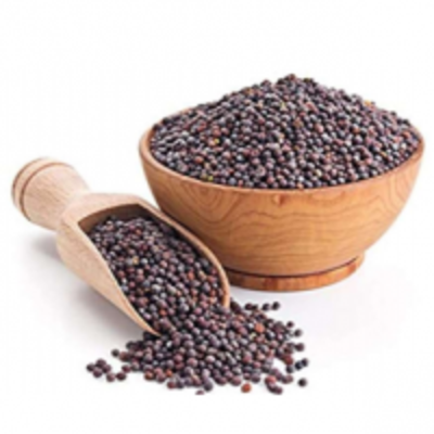 resources of Sarson Beej ( Mustard Seeds) exporters
