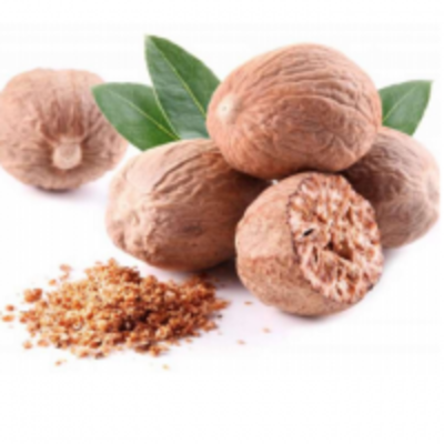 resources of Jaayaphal, (Nutmeg) (Myristica Fragrans) exporters