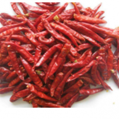 resources of Sukhi Lal Mirchi ( Dried Red Chilli ) exporters