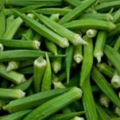 resources of Lady Finger Seeds / And Fruit exporters